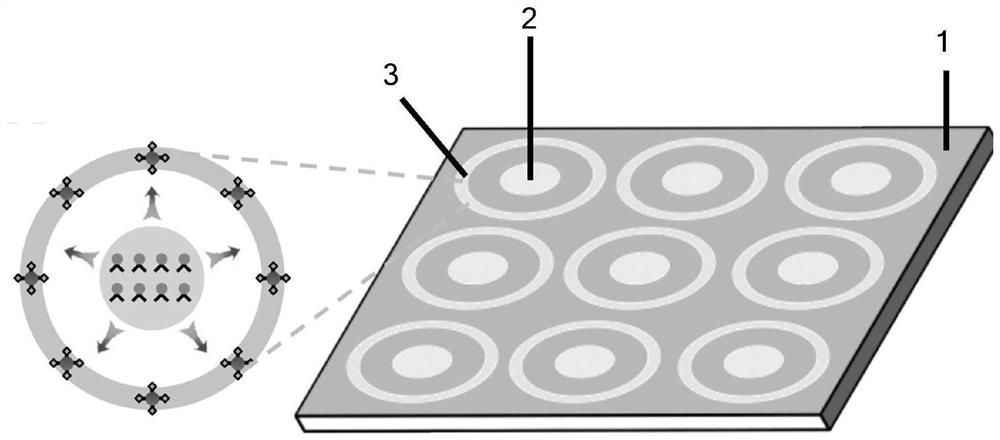 Dual excitation orthogonal emission upconversion luminescent nanoparticles, multi-throughput detection immunochromatographic test strips and their applications