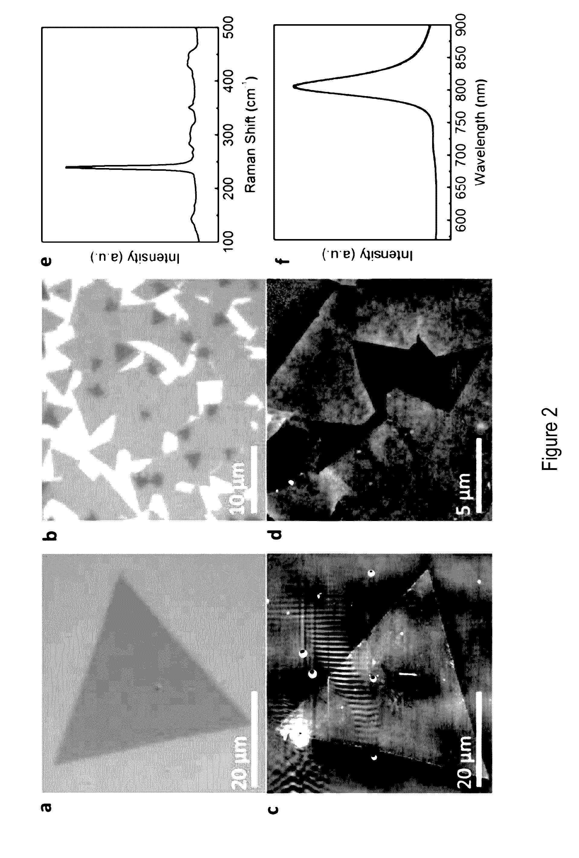 Two-dimensional heterostructure materials