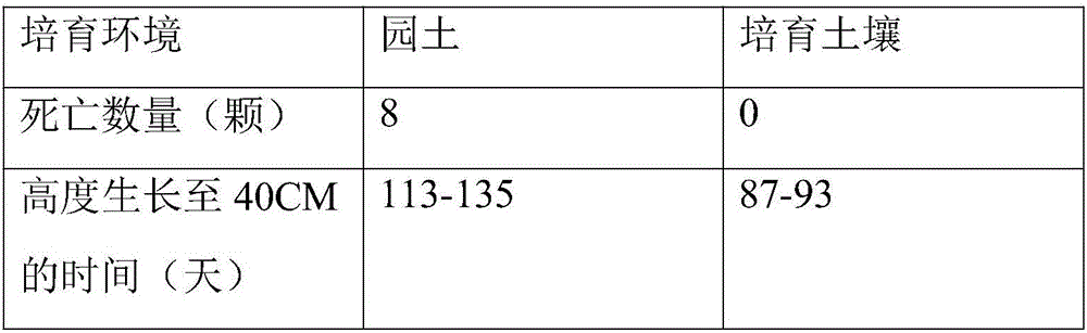 Cultivation soil formula for promoting fig tree to grow