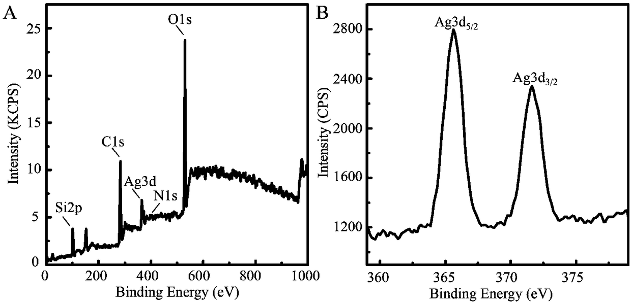 Nano particle composite as well as synthesis method and application thereof