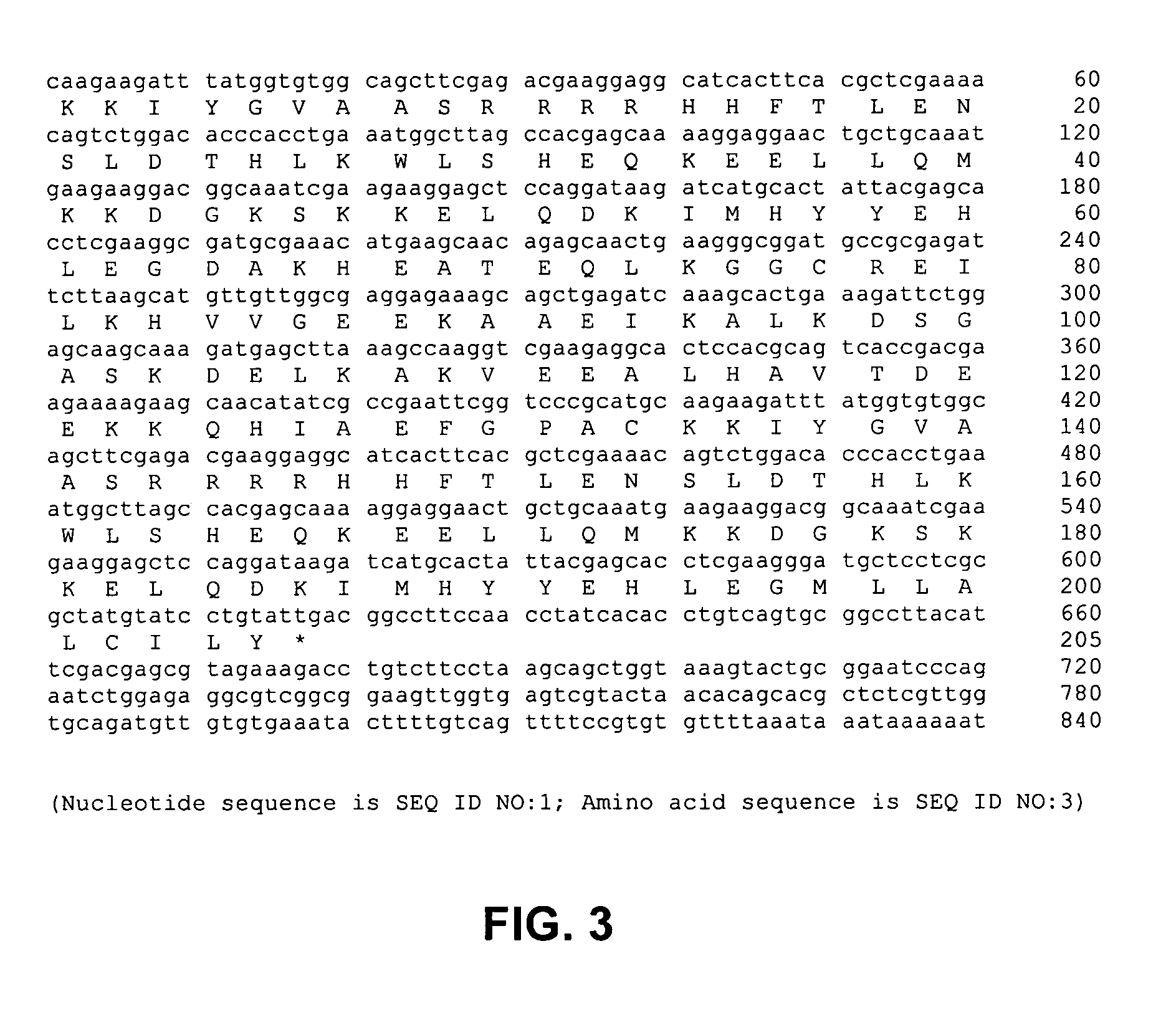 Methods, devices, kits and compositions for detecting roundworm