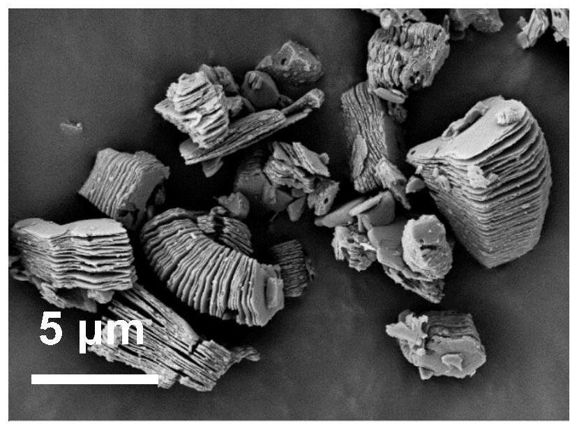 A preparation method of photothermal bioanode, photothermal bioanode and application thereof