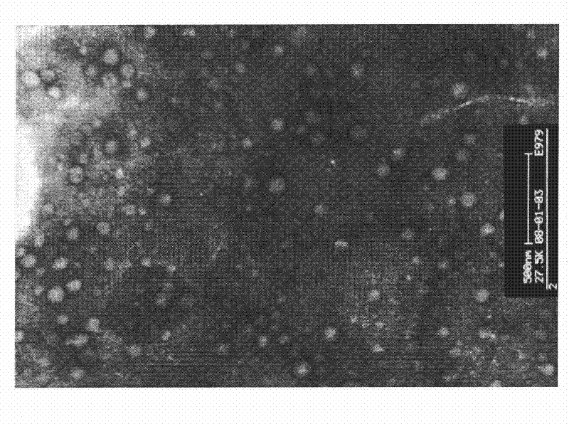 Preparation method of human serum albumin nano granules coated with oxaliplatin