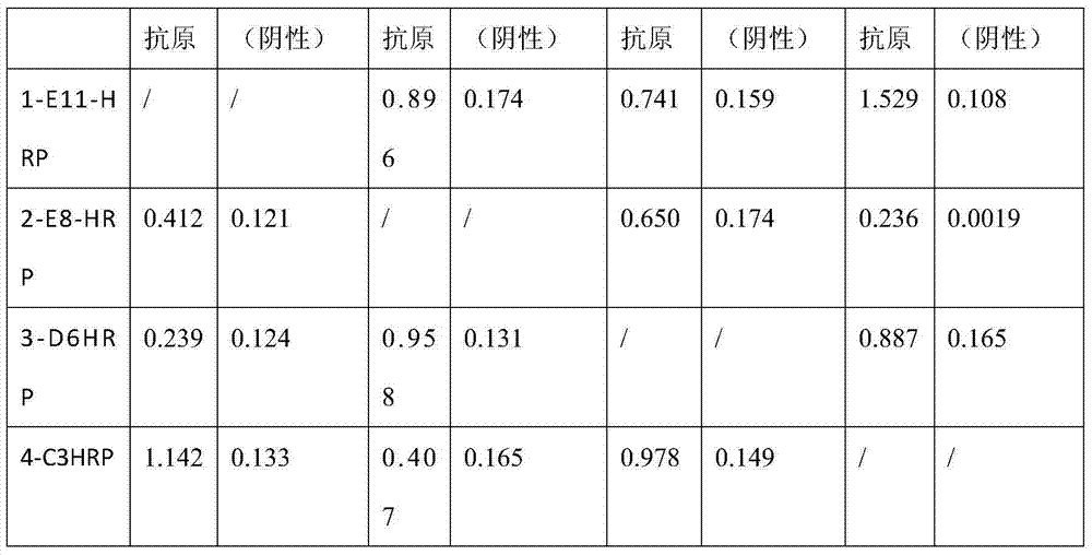 Monoclonal antibody for duck tembusu virus and application