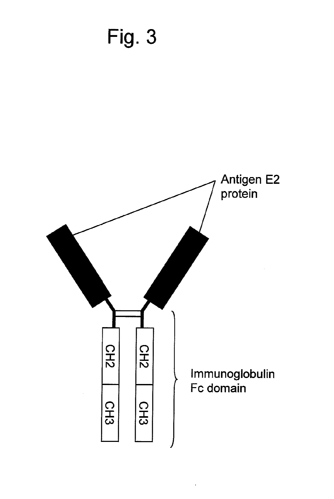 Antibody binding to envelope protein 2 of hepatitis c virus and method for identifying genotype of hepatitis c virus using the same