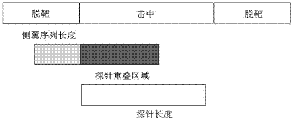 DNA (deoxyribonucleic acid) probe library for hybridization with EGFR (epidermal growth factor receptor) gene and method for enriching EGFR gene segments by use of same