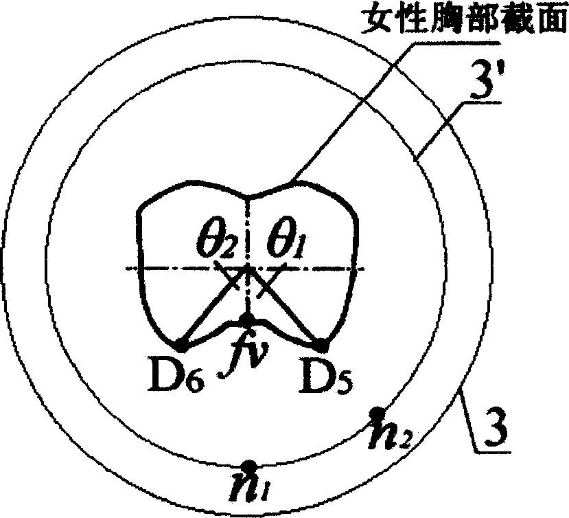 Measuring method of multifunction buman body type and its measuring device