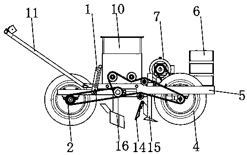 Method for interplanting fruits and vegetables