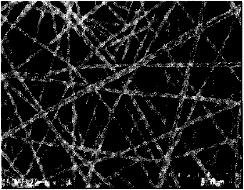 Method for preparing polyvinyl alcohol magnetic film