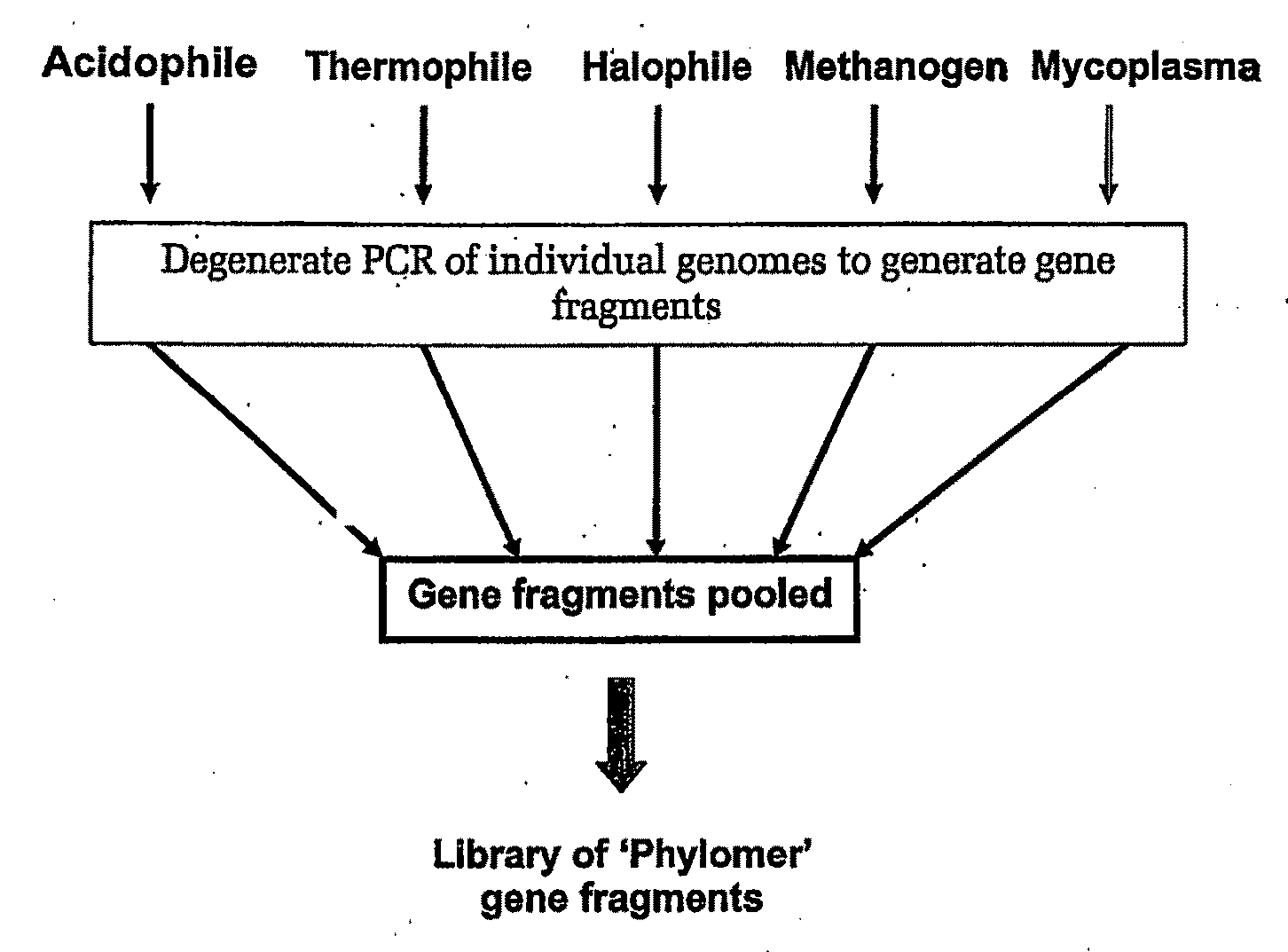 Peptide inhibitors of c-jun dimerization and uses thereof