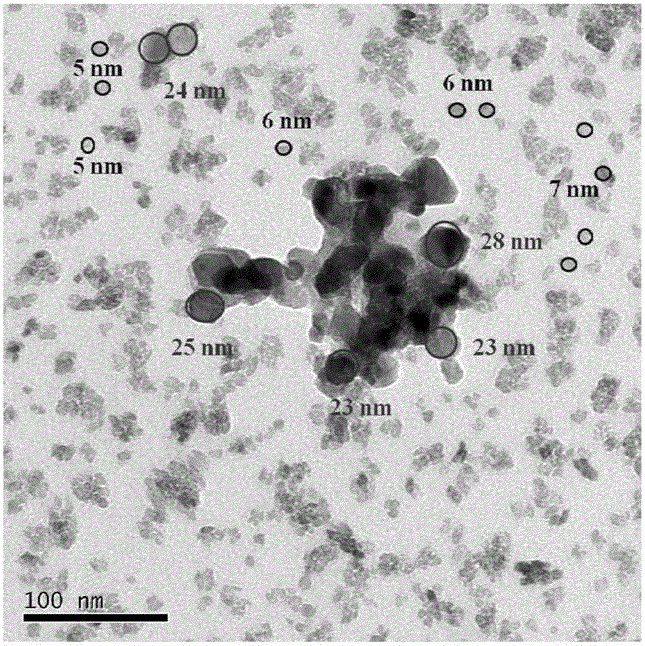 Nano titanium dioxide photocatalyst with double-particle size distribution and preparation method thereof