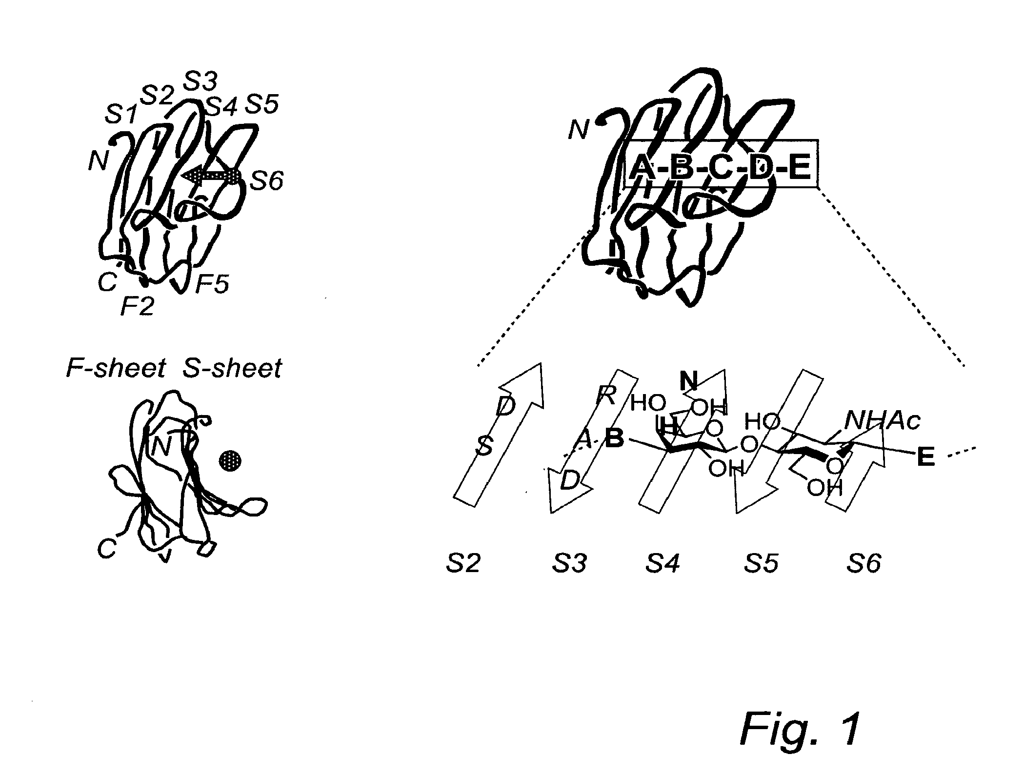 Novel synthesis of galactoside inhibitors