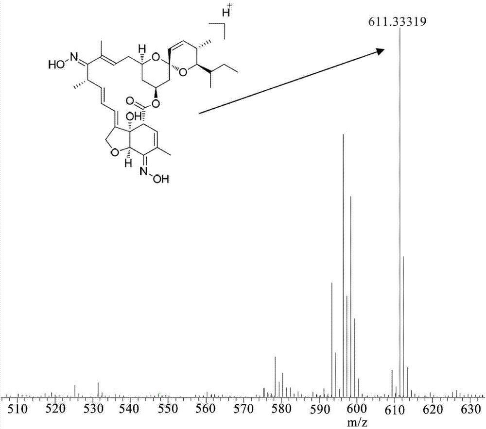 Milbemycin oxime compound and preparation method thereof