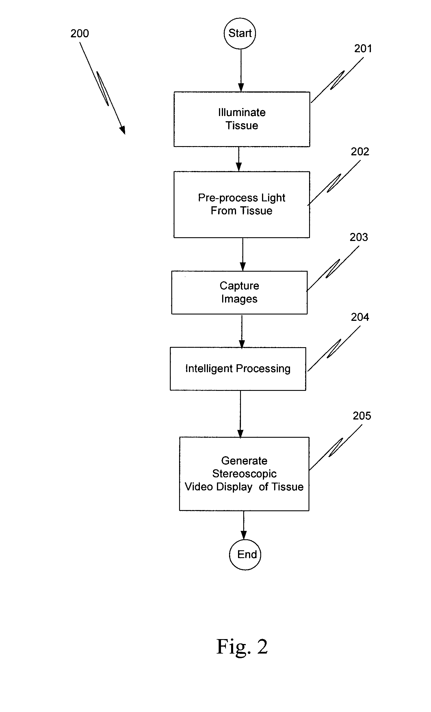 Augmented stereoscopic visualization for a surgical robot using a captured visible image combined with a fluorescence image and a captured visible image