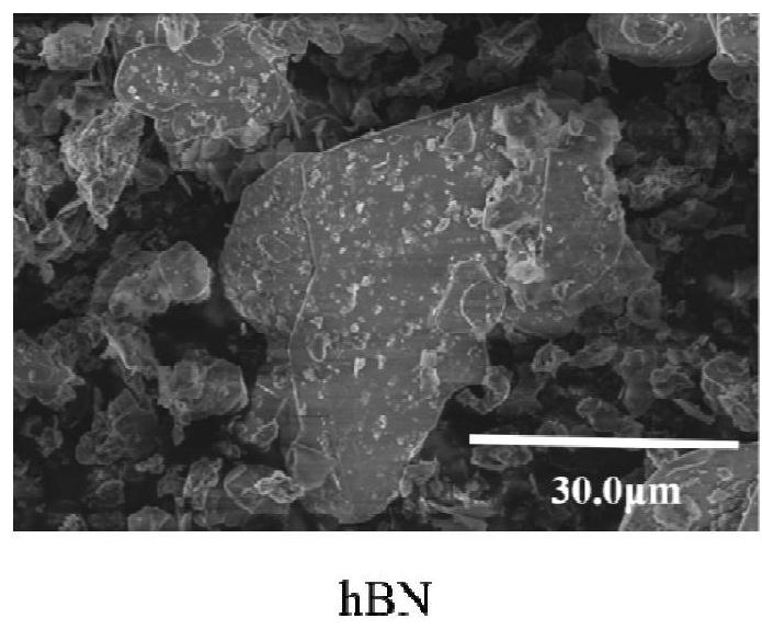 Preparation method of plasma modified hexagonal boron nitride/resin composite material