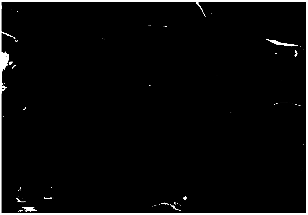 Nitrogen-doped hard carbon material, preparation method thereof and potassium ion battery taking nitrogen-doped hard carbon material as cathode