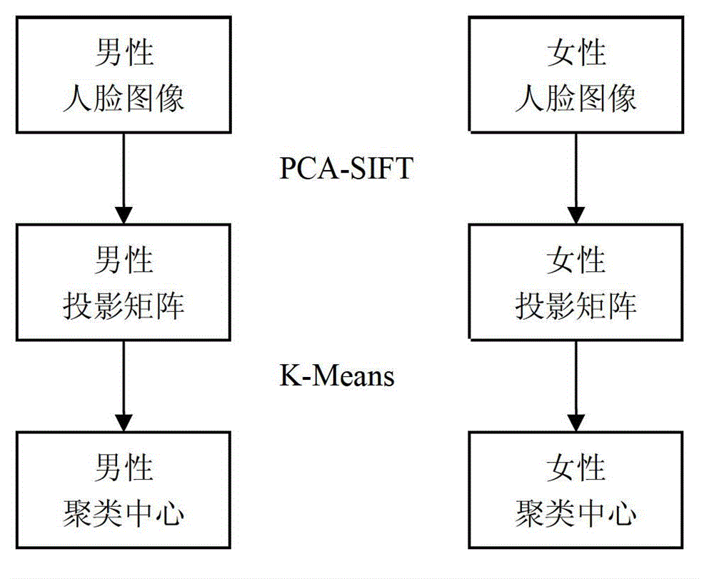 Method and system for detecting and tracking multi-pose face