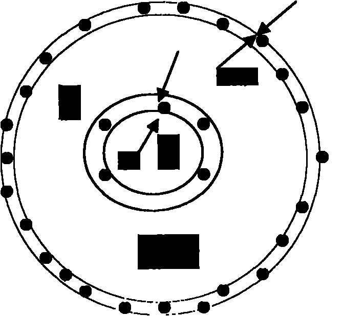 Double-chamber suspended biological carrier