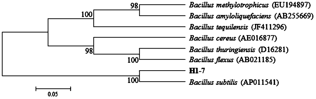 A high-temperature-resistant decomposing bacteria agent for organic waste and its application