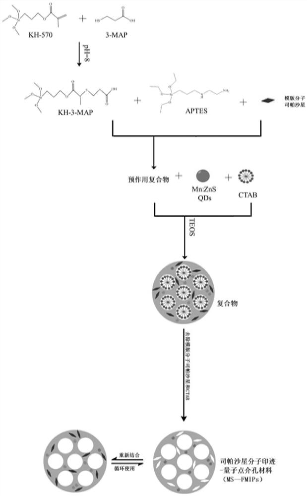 A kind of sparfloxacin molecularly imprinted-quantum dot mesoporous material and its preparation method and application