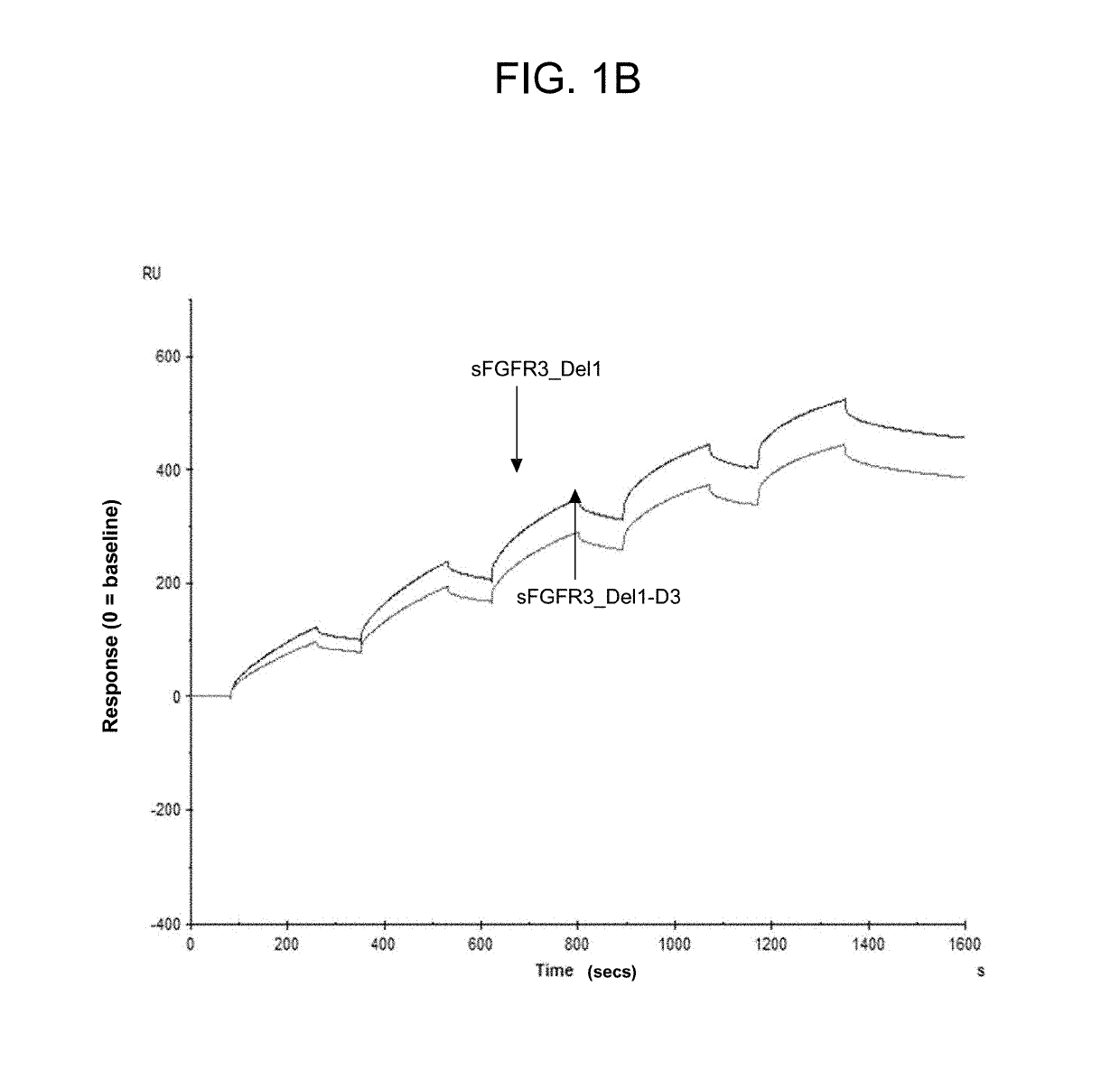 Soluble fibroblast growth factor receptor 3 (SFGFR3) polypeptides and uses thereof