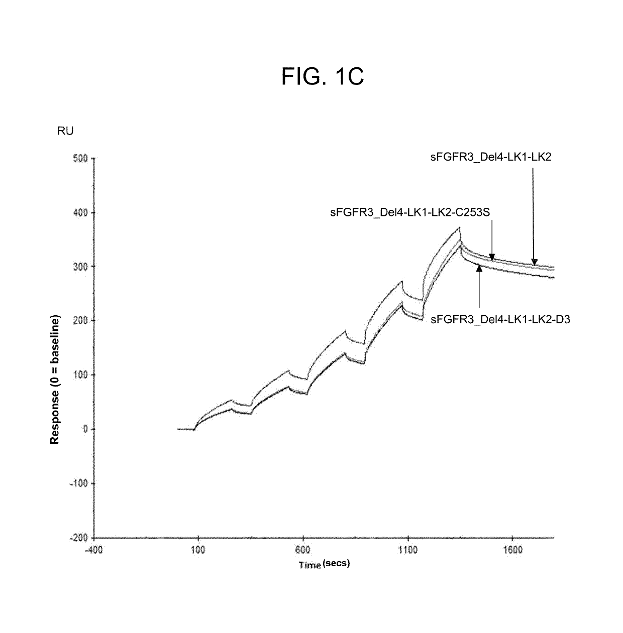 Soluble fibroblast growth factor receptor 3 (SFGFR3) polypeptides and uses thereof