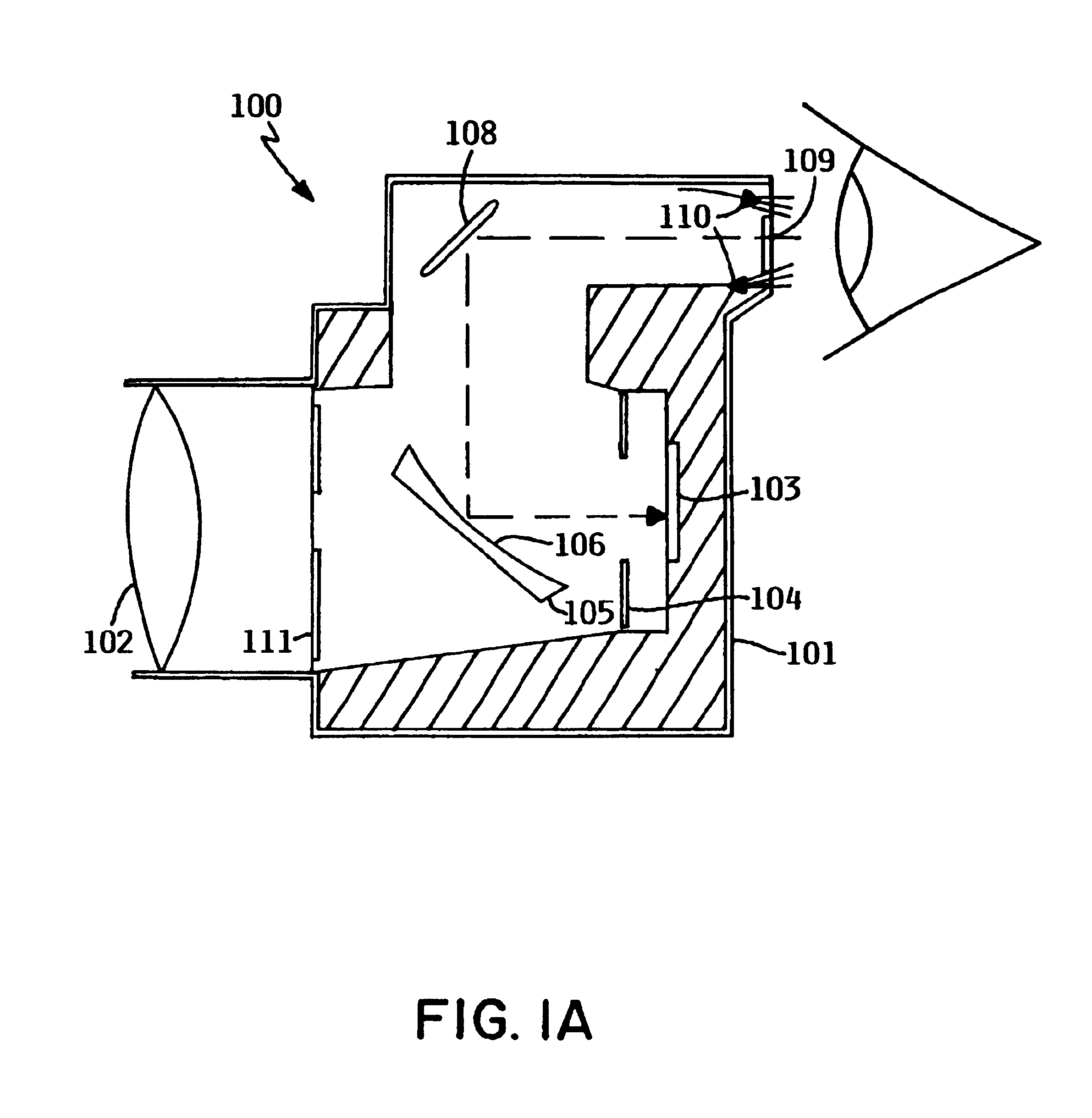 Digital camera apparatus with biometric capability