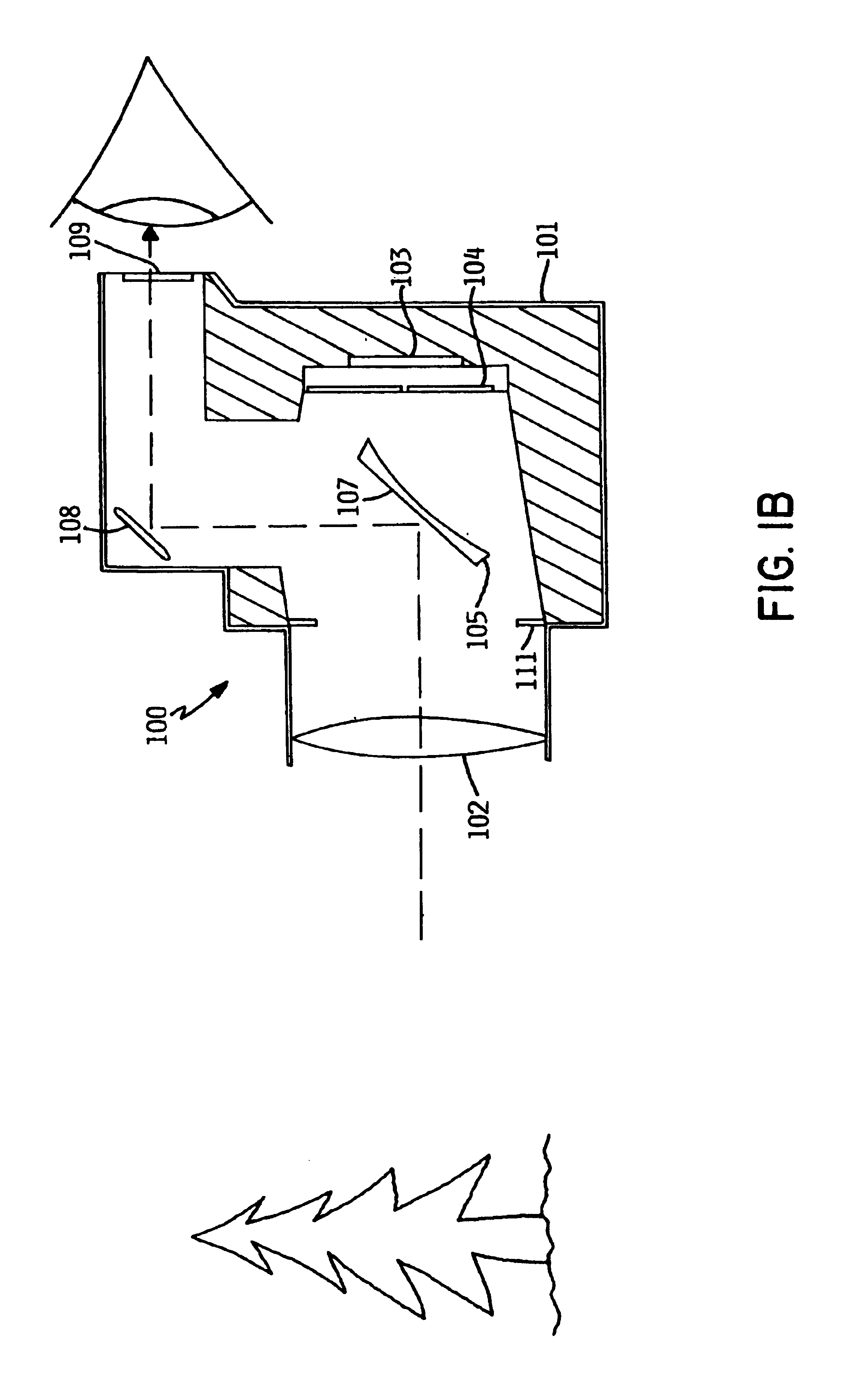 Digital camera apparatus with biometric capability