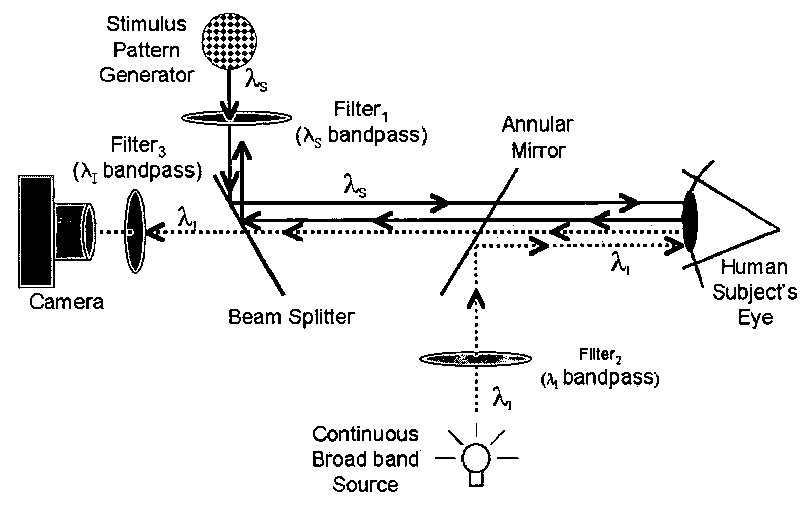 Device and method for optical imaging of retinal function