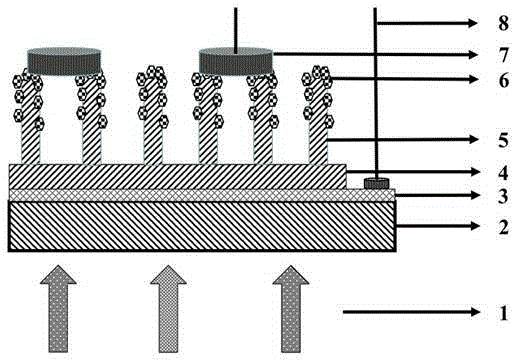 Ultraviolet photovoltaic detector with ZnO nanorod and phenanthrene nano heterogeneous composite structure