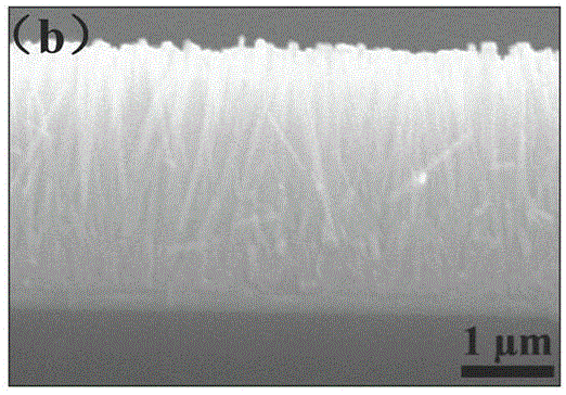 Ultraviolet photovoltaic detector with ZnO nanorod and phenanthrene nano heterogeneous composite structure