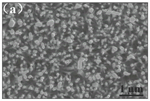 Ultraviolet photovoltaic detector with ZnO nanorod and phenanthrene nano heterogeneous composite structure