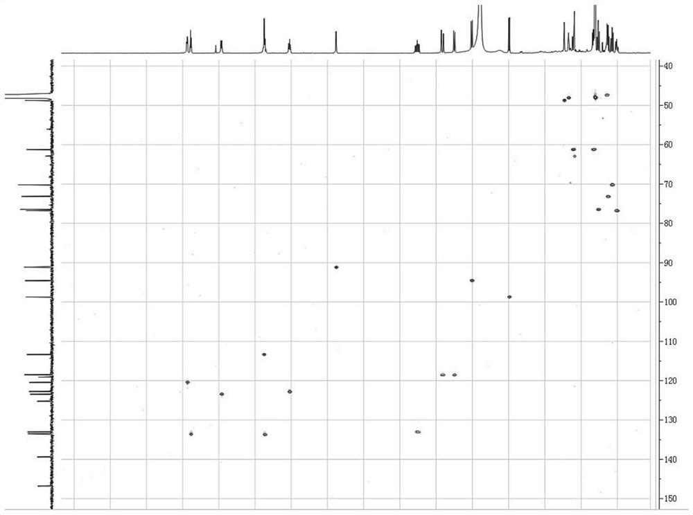 Novel isovimbin derivative derived from Japanese snakeroot as well as preparation method and application of novel isovimbin derivative