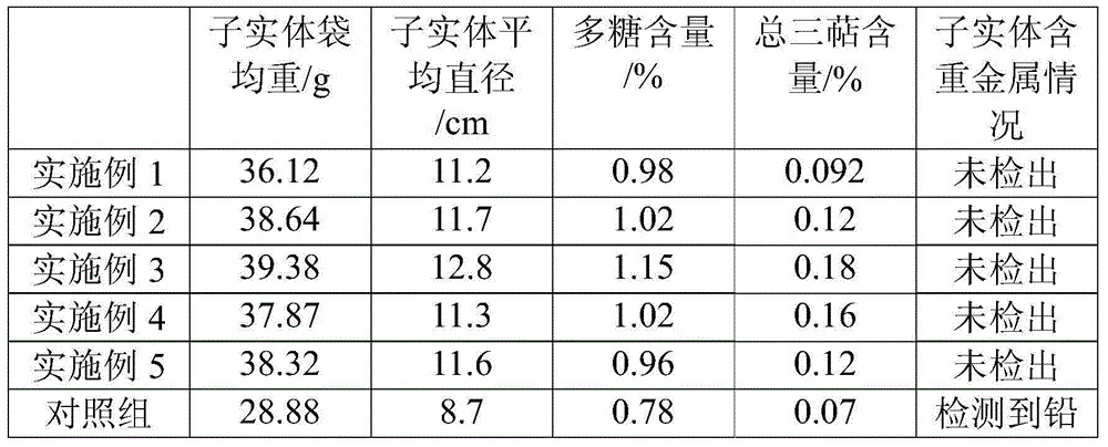 Glossy ganoderma culture method