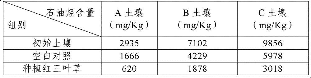 Method for restoring petroleum-contaminated soil by using Trifolium repens Linn