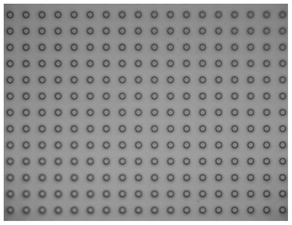 High-resolution spatial omics detection method for tissue sample