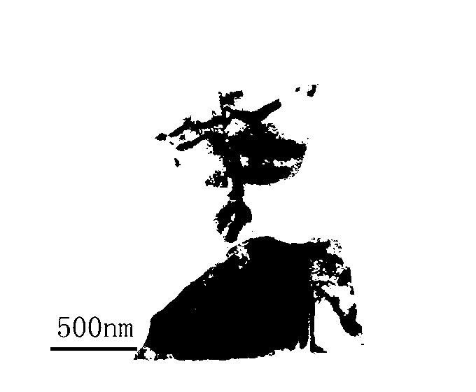 Preparation method of polyaniline and molybdenum disulfide intercalated composite material