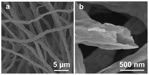 MXene nanotube and general synthesis method thereof