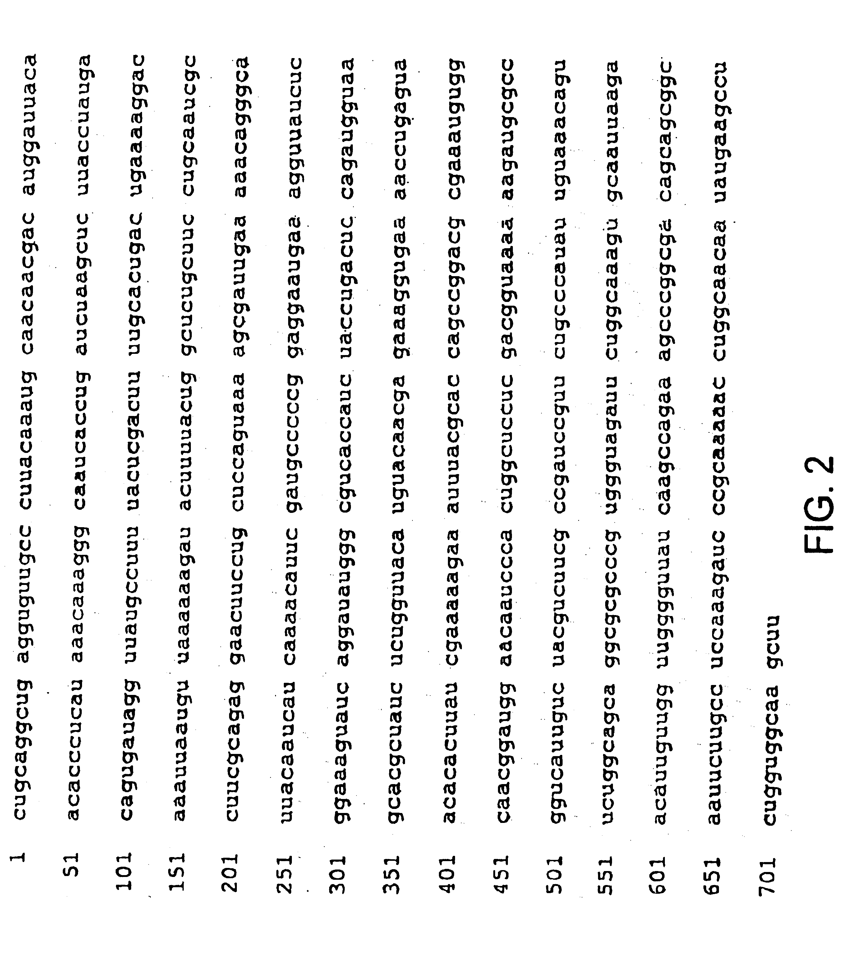 Methods for identifying anti-microbial agents