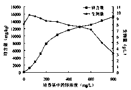 A dry bacterium strain and its fermented dry bacterium mycelium zinc polysaccharide and its application