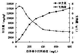 A dry bacterium strain and its fermented dry bacterium mycelium zinc polysaccharide and its application