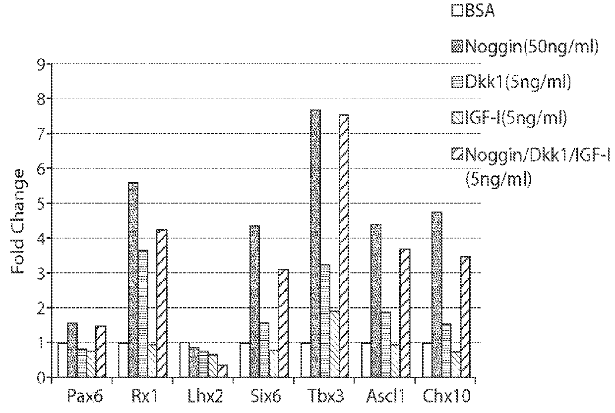 Photoreceptors and photoreceptor progenitors produced from pluripotent stem cells