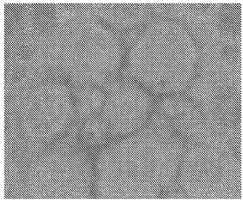 Photoreceptors and photoreceptor progenitors produced from pluripotent stem cells