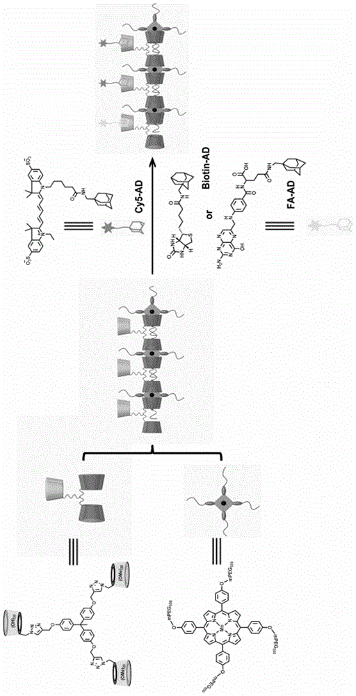 Preparation and application of a supramolecular nanopolymer for multifunctional imaging