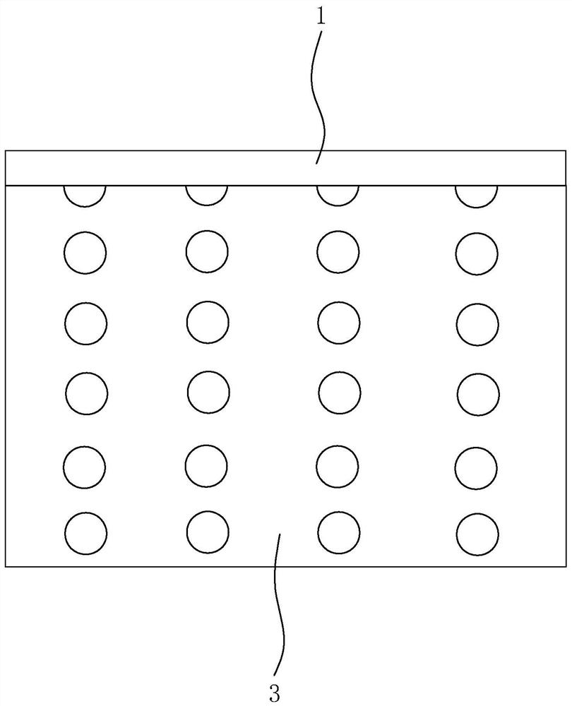 Image detection device and detection method using same