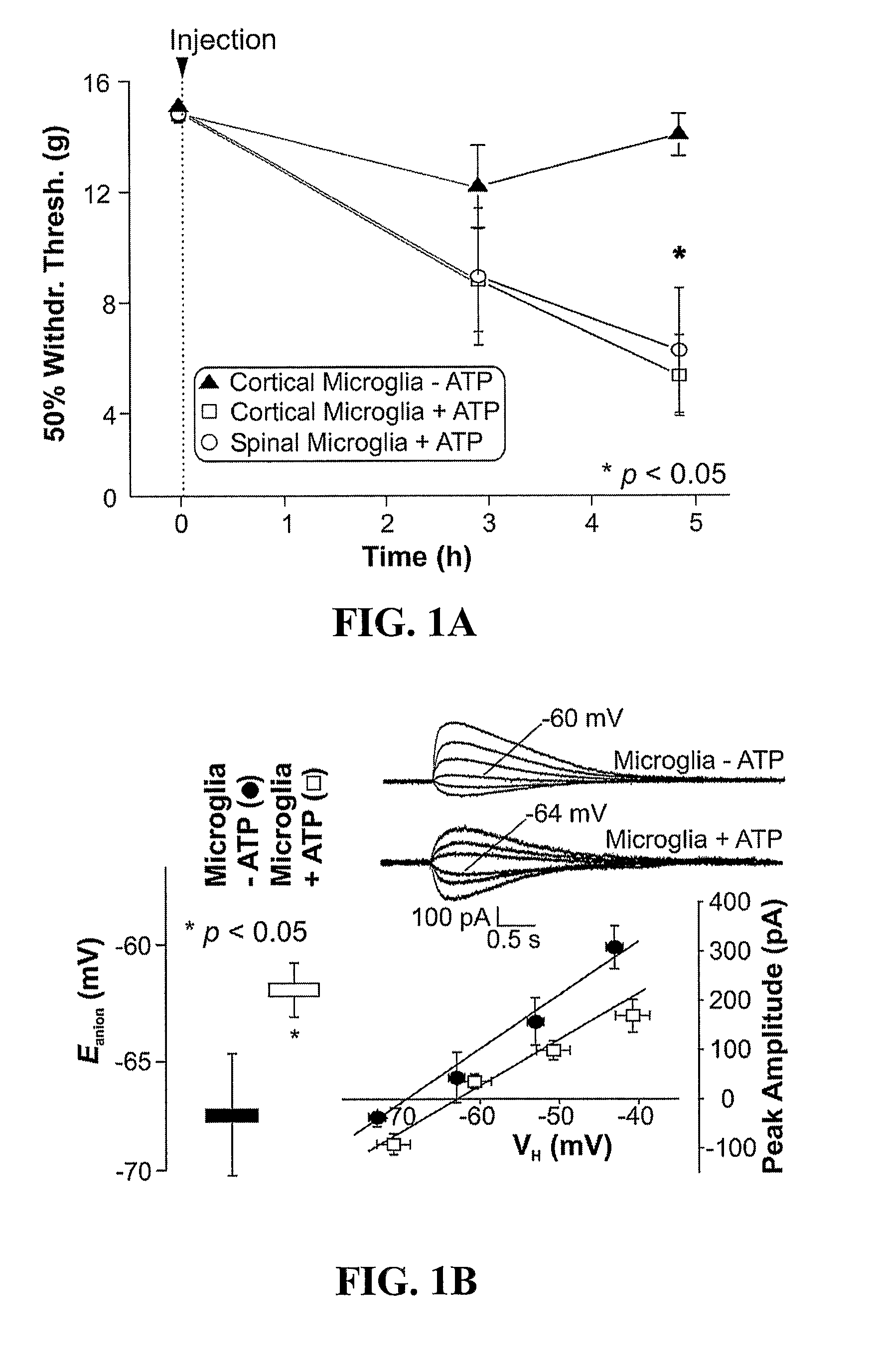 Modulation of neuroglia-derived BDNF in the treatment and prevention of pain