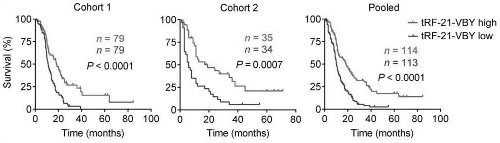 TRF related to pancreatic cancer and application thereof