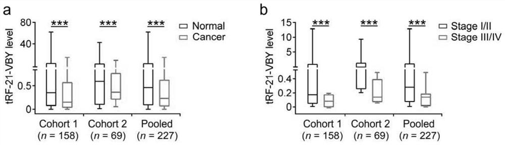 TRF related to pancreatic cancer and application thereof