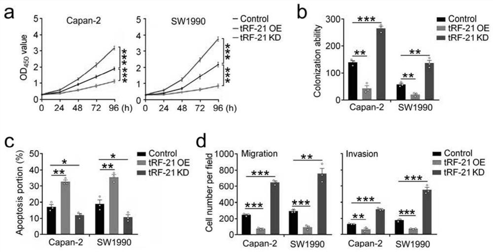 TRF related to pancreatic cancer and application thereof