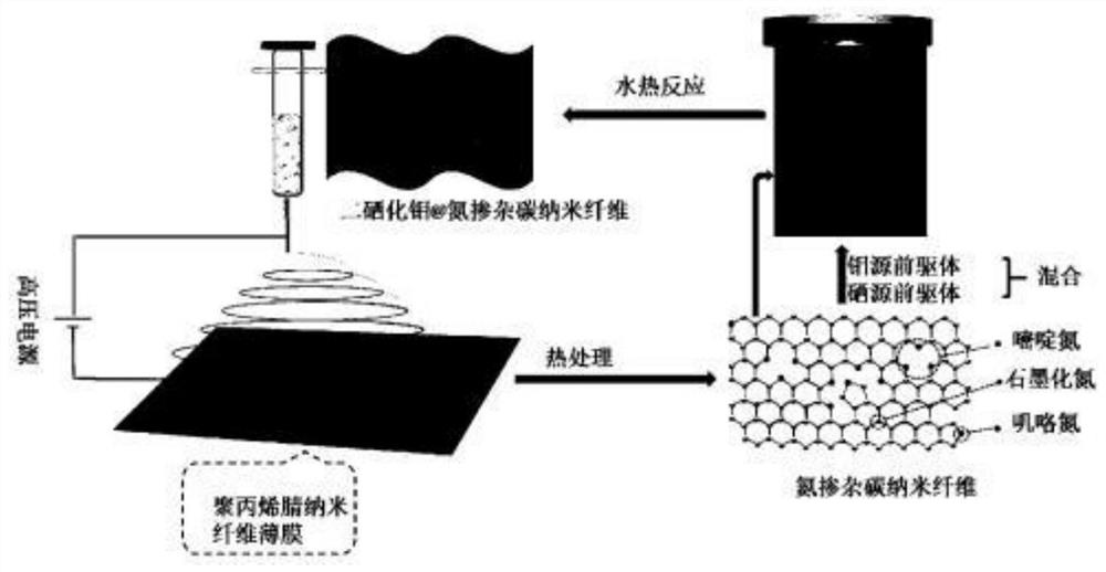 Elm-shaped molybdenum diselenide@nitrogen-doped carbon nanofibers as well as preparation method and application thereof